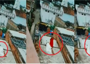 अरे देवा! गच्चीवर चादरीच्या आता प्रेमी युगुलाची रासलीला सुरु होती, तितक्यात आई आली अन्.. पहा VIDEO