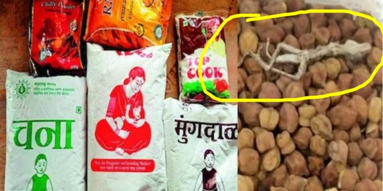 अंगणवाडी मार्फत मिळणाऱ्या पोषण आहारात आढळली मृत पाल; जळगावातील धक्कादायक प्रकार