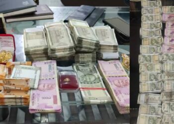 FCI घोटाळ्याबाबत CBI ची कारवाई ; आतापर्यंत केला ‘इतक्या’ लाखाचा ऐवज जप्त, ७४ आरोपींविरुद्ध गुन्हा