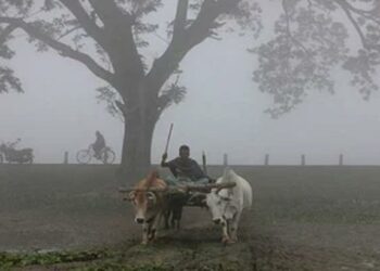 राज्यातील शेतकऱ्यांची चिंता वाढणार, पिकांना फटका बसणार ; हवामान खात्याचा नेमका काय आहे नवीन अंदाज?