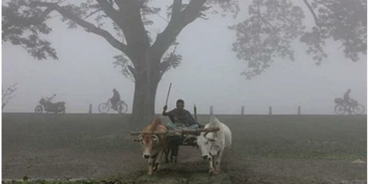 राज्यातील शेतकऱ्यांची चिंता वाढणार, पिकांना फटका बसणार ; हवामान खात्याचा नेमका काय आहे नवीन अंदाज?