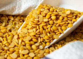 तूर डाळ ‘या’ लोकांनी चुकूनही खाऊ नये ! अन्यथा शरीराला नुकसान होऊ शकते..