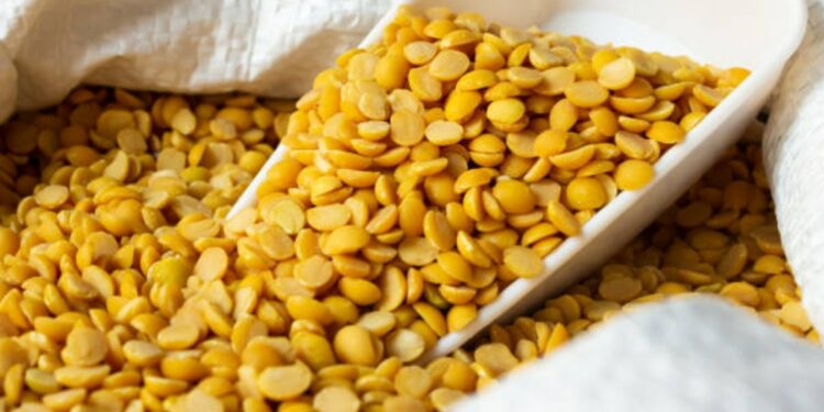 तूर डाळ ‘या’ लोकांनी चुकूनही खाऊ नये ! अन्यथा शरीराला नुकसान होऊ शकते..