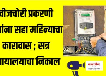 सत्र न्यायालयाचा निकाल ; वीजचोरी प्रकरणी दोघांना न्यायालयाने ठोठावला कारावास