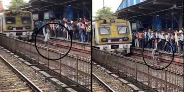 कुत्र्याला वाचवण्यासाठी तरुणाने रुळावर उडी मारली, तितक्यात अचानक आली ट्रेन, मग… पहा VIDEO