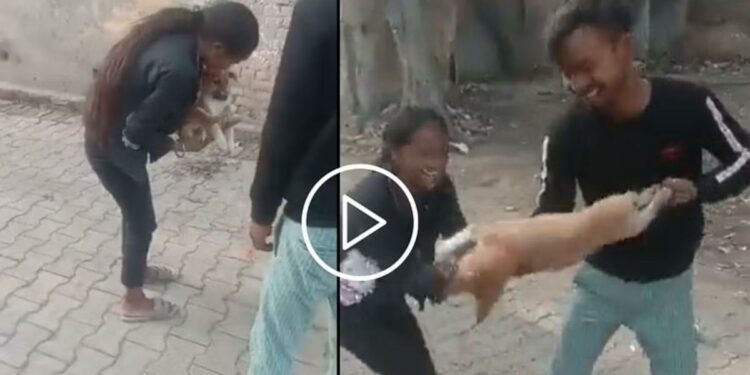 कसला हा क्रूरपणा! ‘हा’ Video पाहून तुम्हीही संतापाल…