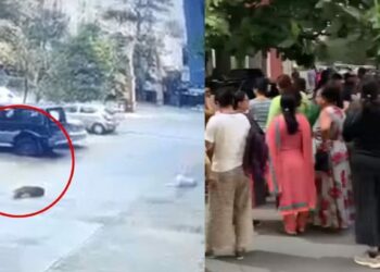 कुत्र्यांच्या कळपाने ५ वर्षीय चिमुकल्याला घेरलं अन्..  काळजाचा ठोका चुकवणारा VIDEO व्हायरल