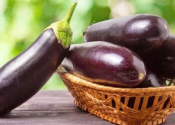 वांग्यात दडलेय आरोग्याचे रहस्य! फायदे वाचून चकित व्हाल.