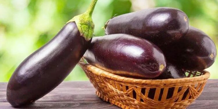 वांग्यात दडलेय आरोग्याचे रहस्य! फायदे वाचून चकित व्हाल.