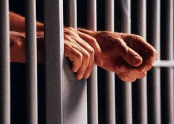 जन्मदात्या आईनेच तुकडे तुकडे करून संपवले मुलाला, आईसह भाच्याला जन्मठेपेची शिक्षा