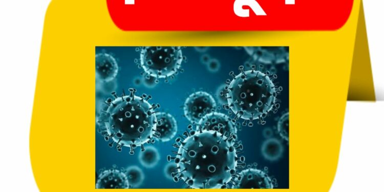 इन्फ्लूएंझाची लक्षणे आढळल्यास तत्काळ, आरोग्य विभागाने दिल्या ‘या’ सूचना