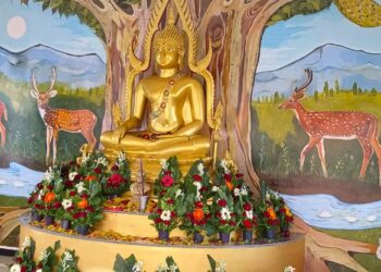 भगवान गौतम बुद्धांच्या भव्य मूर्तीची  स्थापना ; बौद्ध धम्मगुरू यांच्यासह हजारो उपासकांची उपस्थिती