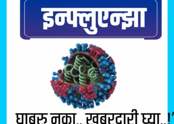 influenza virus ;How do you get rid of influenza A fast?  इन्फ्लुएन्झा : ‘घाबरु नका.. खबरदारी घ्या..!’
