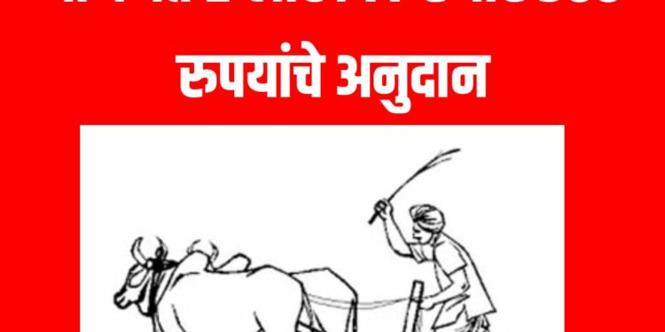 शेतकऱ्यांना मिळताय ‘या’ योजनेत २ लाख ७७ हजार ५०० रुपयांचे अनुदान