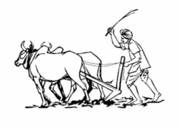 Sarkari Yojna; वैयक्तिक शेततळे योजनेसंदर्भात मोठी अपडेट तर एका कृषी योजनेचा दुसरा टप्पा होतोय सुरु!