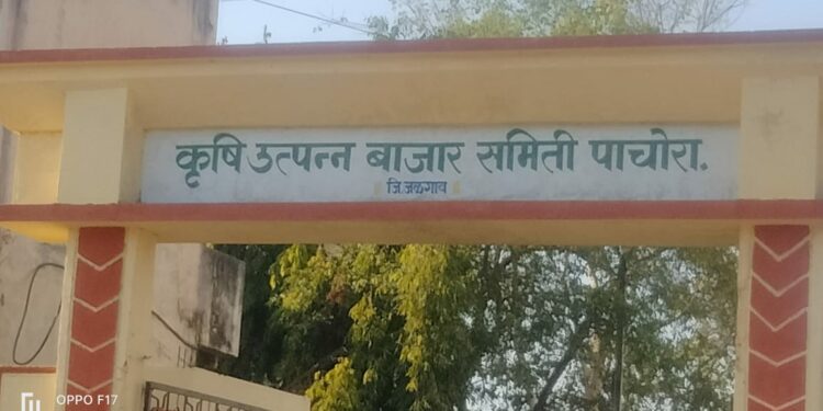 कृषी उत्पन्न बाजार समिती पाचोरा- भडगाव शिवसेनेतर्फे इच्छुकांच्या बुधवारी मुलाखती