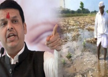 अवकाळीमुळे शेतीचे मोठं नुकसान; जळगावात किती नुकसान? सभागृहात उपमुख्यमंत्री दिली ‘ही’ माहिती