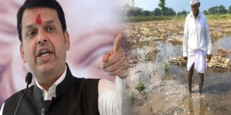 अवकाळीमुळे शेतीचे मोठं नुकसान; जळगावात किती नुकसान? सभागृहात उपमुख्यमंत्री दिली ‘ही’ माहिती