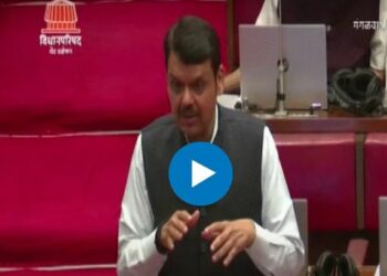 संजय राऊतांच्या वक्तव्याचा फडणवीसांनी घेतला खरपूस समाचार