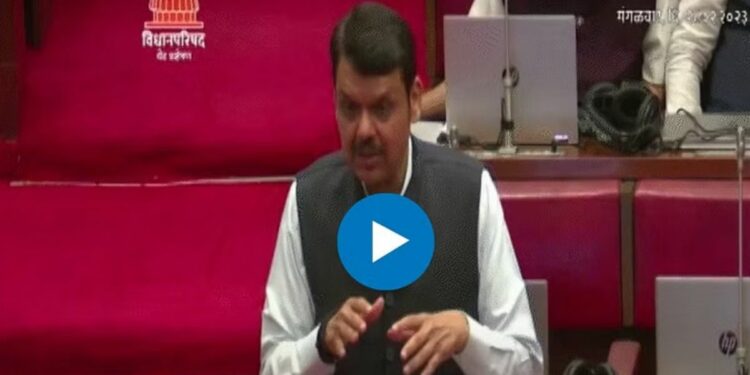 संजय राऊतांच्या वक्तव्याचा फडणवीसांनी घेतला खरपूस समाचार