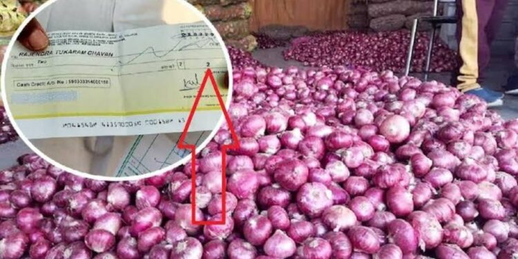 70 किलोमीटरचा प्रवास केला, पण 512 किलो कांद्याचे मिळाले फक्त 2 रुपये