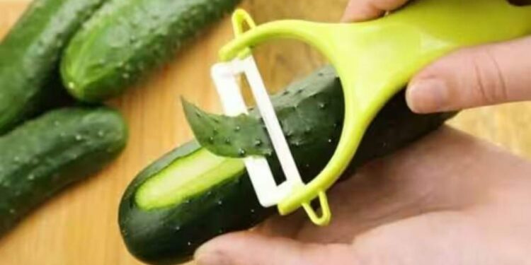 काकडी सोलण्याची चूक करू नका; सालीसोबत खाल्ल्याने ‘हे’ 4 फायदे होतील