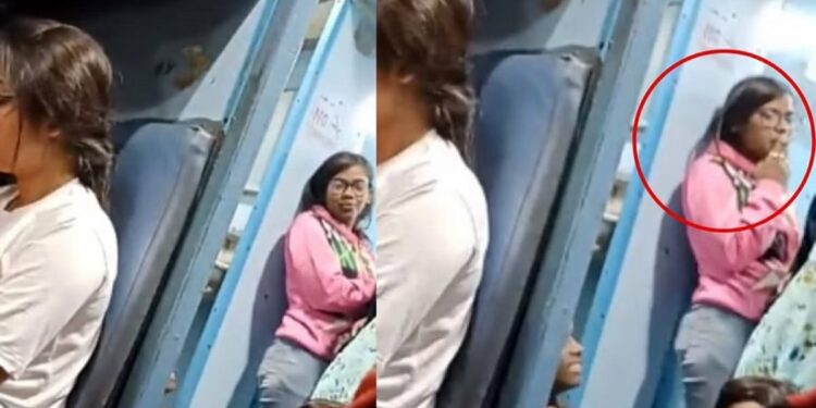 ट्रेनमध्ये तरुणीचं धक्कादायक कृत्य ; VIDEO झाला तुफान व्हायरल