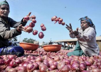 हे अपेक्षित नव्हते..! कांद्याबाबत सरकारने असे पाऊल उचलले, पण आता….