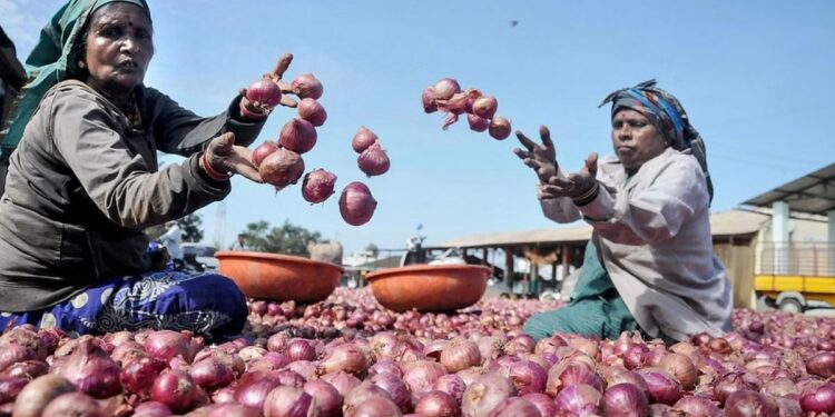 हे अपेक्षित नव्हते..! कांद्याबाबत सरकारने असे पाऊल उचलले, पण आता….
