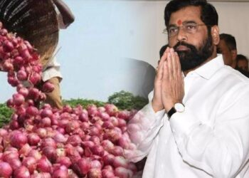 मुख्यमंत्र्यांची मोठी घोषणा..कांदा उत्पादक शेतकऱ्यांना प्रति क्विंटल ‘एवढे’ सानुग्रह अनुदान