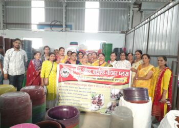 वुमेन्स ॲन्ड चाईल्ड केअर प्लसतर्फे औद्योगिक पहाणी  