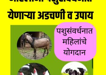 महिलांना पशुसंवर्धनात येणाऱ्या अडचणी व उपाय