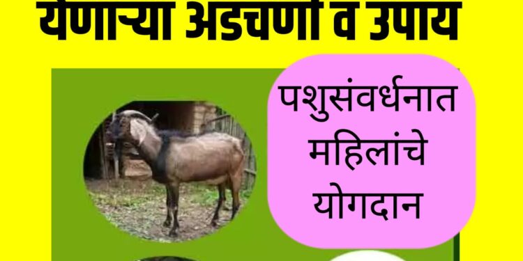 महिलांना पशुसंवर्धनात येणाऱ्या अडचणी व उपाय