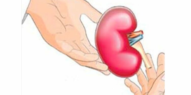 अवयवदान काळाची गरज !