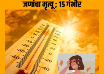 दुर्दैवी ; कार्यक्रमानंतर उष्माघाताने ११ जणांचा मृत्यू ; १५ गंभीर