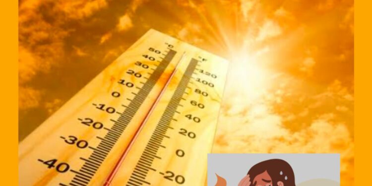 दुर्दैवी ; कार्यक्रमानंतर उष्माघाताने ११ जणांचा मृत्यू ; १५ गंभीर