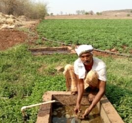 कमी शेती क्षेत्रातही प्रयोगशीलता जोपासत पूरक व्यवसाय करून ‘या’ शेतकऱ्याने वाढवले उत्पन्नाचे स्रोत!