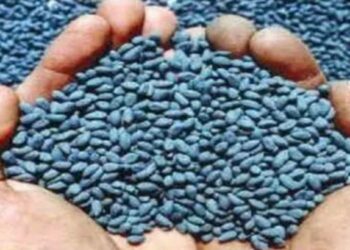 शेतकऱ्यांनो..! कापूस बियाणे खरेदी करताय? शासनाने ठरविलेल्या बियाण्याच्या ‘या’ आहेत किंमती?