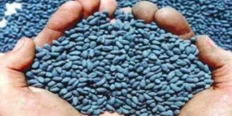 शेतकऱ्यांनो..! कापूस बियाणे खरेदी करताय? शासनाने ठरविलेल्या बियाण्याच्या ‘या’ आहेत किंमती?