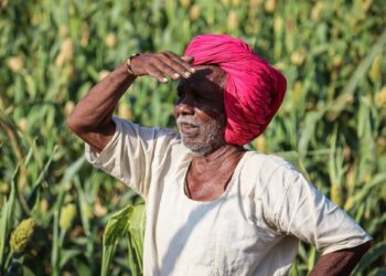 राज्य सरकारने शेतकऱ्यांच्या हितासाठी घेतलाय ‘हा’ मोठा निर्णय, नसेल तुम्हाला माहित तर घ्या जाणून