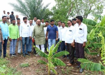 नुकसानग्रस्तांच्या नुकसानीचे तातडीने पंचनामे पूर्ण करा ; पालकमंत्री पाटील