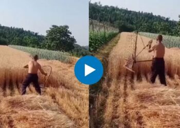 शेतकऱ्याचा भन्नाट जुगाड! काही मिनिटांत केली गव्हाची कापणी, Video होतोय तुफान व्हायरल