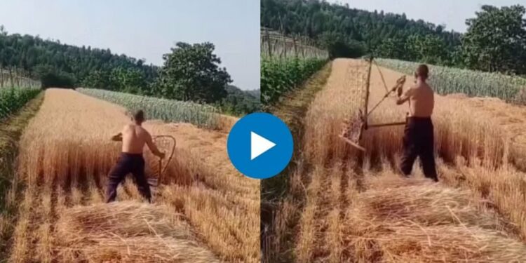 शेतकऱ्याचा भन्नाट जुगाड! काही मिनिटांत केली गव्हाची कापणी, Video होतोय तुफान व्हायरल