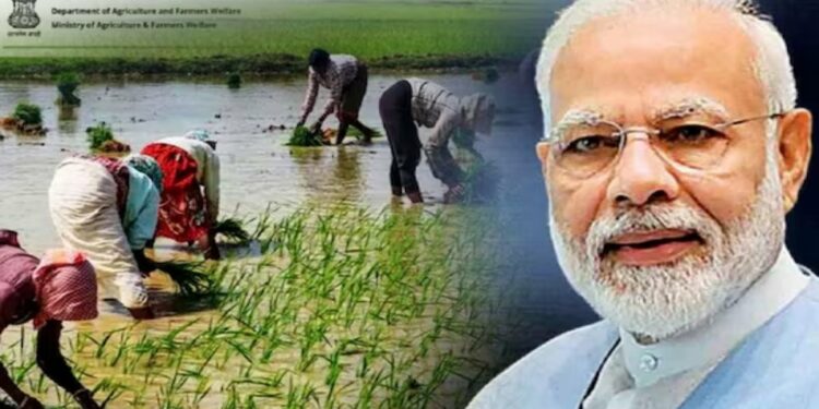 पीएम किसान योजनेचा लाभ घेणाऱ्या शेतकऱ्यांसाठी महत्वाची बातमी ; अन्यथा तुरुंगात जावे लागू शकते, जाणून घ्या कारण?