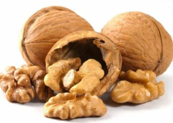 उन्हाळ्यात अक्रोड खाणे योग्य आहे का? आहारात या प्रकारे समाविष्ट करा