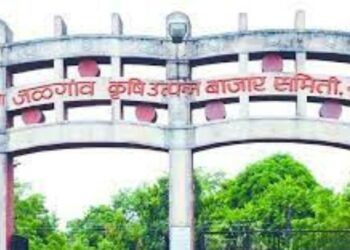 अखेर शामकांत सोनवणेंची जळगाव बाजार समितीच्या सभापतीपदी निवड