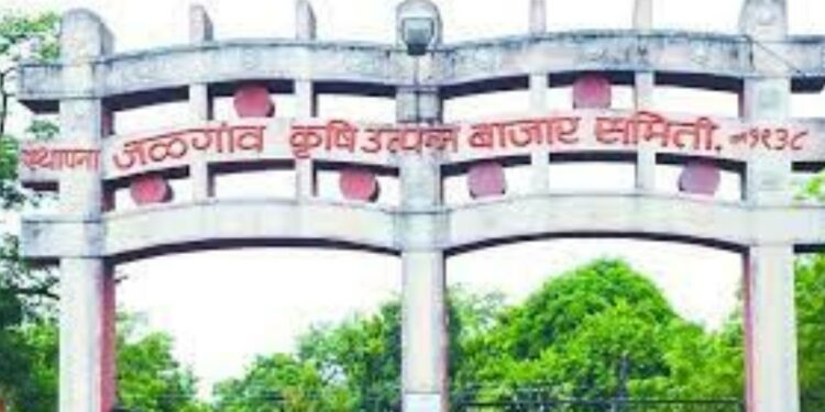 अखेर शामकांत सोनवणेंची जळगाव बाजार समितीच्या सभापतीपदी निवड