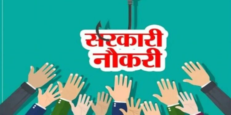 सरकारी कंपनीत विविध पदांच्या 428 जागांसाठी भरती ; काय आहे पात्रता अन् पगार किती मिळेल?