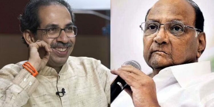शरद पवारांच्या त्या टिपण्णीवर अखेर उद्धव ठाकरे बोलले; काय म्हणाले पहा..
