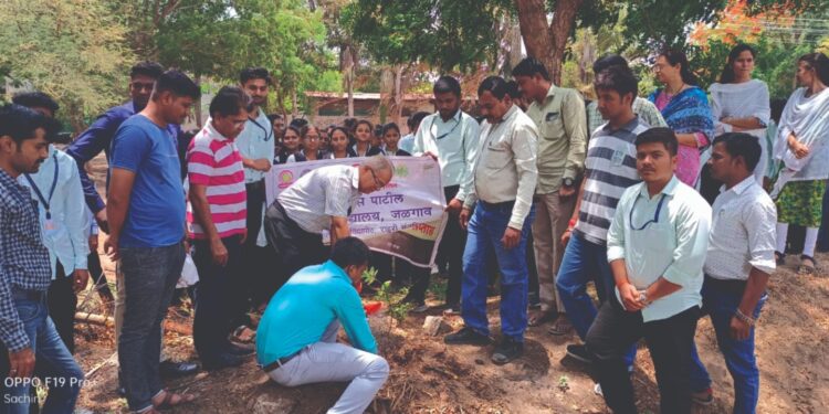 डॉ. उल्हास पाटील कृषी, अन्न तंत्रज्ञान व कृषी अभियांत्रिकी व तंत्रज्ञान महाविद्यालय जळगाव येथे जागतिक पर्यावरण दिन साजरा